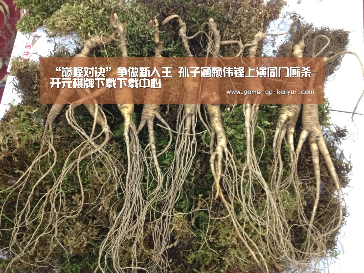 多端支持