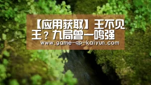应用获取
